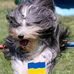 Sharon Dunsmore - Facebook