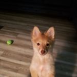 Sharon Reedy-Durrett - @reedydurrett - Instagram