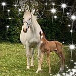 Sharon Eadie - @sharon.eadie.52 - Instagram