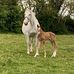 Sharon Eadie - Facebook