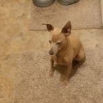 Sharon Eads - @eads4440 - Instagram