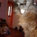 Sharon Eckersall - Facebook