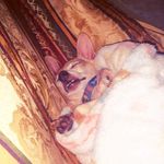 Sharon Eckersley - @sharon.eckersley.10 - Instagram