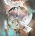 Sharon Eckersley - Facebook