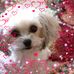 Sharon Edlund - Facebook