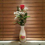 Sharon  Egger - @1965rosey - Instagram