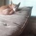 Sharon Eggert - Facebook