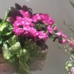 Sharon Eggleston - @sassy.shar - Instagram