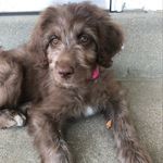 Sharon Ehrhardt - @ssehrhardt - Instagram