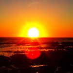 Sharon Ehrhardt McNitt - @twinsplusone95 - Instagram