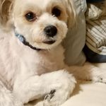 Sharon Eichmann - @sharoneichmann1958 - Instagram