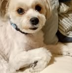 Sharon Eichmann - Facebook