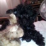 Sharon Eidem - @sharoneidem - Instagram