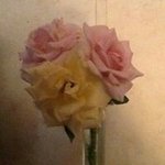 Sharon Faye Eidson - @sharoneidson - Instagram