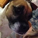 Sharon Eilers - @eilers.sharon - Instagram
