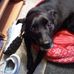 Sharon Eisele - Facebook