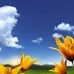 Sharon Elizabeth - Facebook
