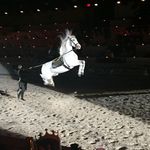 Sharon Ellard - @ellard.sharon - Instagram