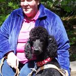 Sharon Ely - @poodleguidec4me - Instagram