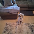 Sharron Emanuel - Facebook