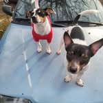 Sharon Emerick - @sharonemerick66 - Instagram