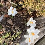 Sharon Emerick - @emerick5039 - Instagram
