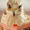 Sharon Emerick Huser - @2171000548 - TikTok