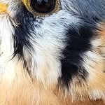 Sharon Bradford Englerth - @sharonenglerth - Instagram
