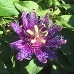 Sharon Engler - @englersharon - Instagram