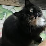 Sharon Loferski Engler - @sharonloferski - Instagram