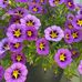 Sharon Smith Engler - Facebook