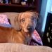 Sharon Enos - Facebook