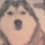 Sharon Ensor - @sharon.ensor.5 - Instagram