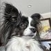 Sharon Leigh Ensor - Facebook