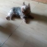 Sharon Epps - @sharon_epps - Instagram