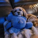Sharon Erb - @sharonerb - Instagram