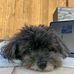 Sharon Erwin - Facebook