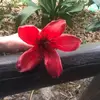 Shari Eslinger - @shar.kay - TikTok