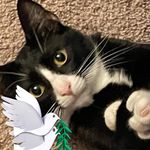 Sharon Estep - @sharonestep - Instagram