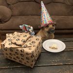 Sharon Estep - @ssk_love - Instagram