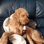 Sharon Ethridge - @ethridge.sharon - Instagram