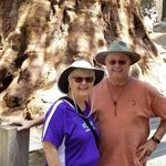Sharon Ethridge Wilbur - @sharonwilbur10 - Instagram