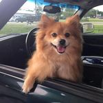 Sharon Hofelich Ethridge - @sharon_hofelich - Instagram