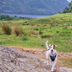 Sharon Eustace - @eustacesharon - Instagram