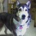 Sharon Evers - Facebook