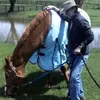 sharoneverson0 - @shoe5080 - TikTok
