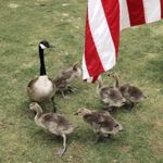 Sharon Ewer Cadwallader - @secadwallader - Instagram