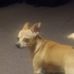 Sharon Exum - Facebook