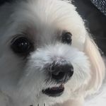 Sharon Fair - @sharonfair8 - Instagram