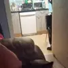 Sharon Fairchilid - @sharon.fairchilid - TikTok